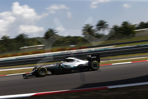 Motorsports: FIA Formula One World Championship 2016, Grand Prix of Malaysia
