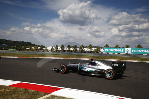 Motorsports: FIA Formula One World Championship 2016, Grand Prix of Malaysia