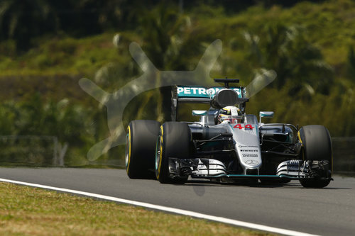 Motorsports: FIA Formula One World Championship 2016, Grand Prix of Malaysia