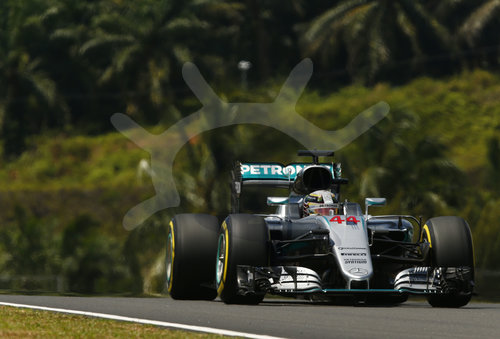 Motorsports: FIA Formula One World Championship 2016, Grand Prix of Malaysia