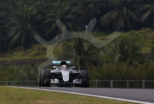 Motorsports: FIA Formula One World Championship 2016, Grand Prix of Malaysia