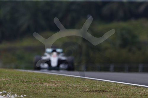 Motorsports: FIA Formula One World Championship 2016, Grand Prix of Malaysia