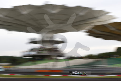 Motorsports: FIA Formula One World Championship 2016, Grand Prix of Malaysia