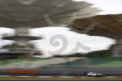 Motorsports: FIA Formula One World Championship 2016, Grand Prix of Malaysia