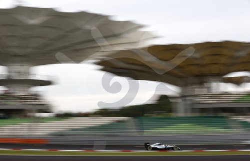Motorsports: FIA Formula One World Championship 2016, Grand Prix of Malaysia