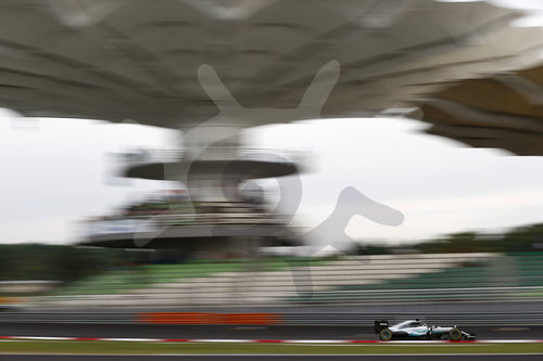 Motorsports: FIA Formula One World Championship 2016, Grand Prix of Malaysia