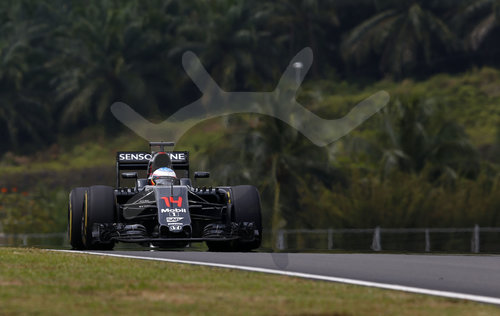 Motorsports: FIA Formula One World Championship 2016, Grand Prix of Malaysia