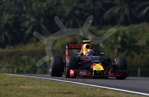 Motorsports: FIA Formula One World Championship 2016, Grand Prix of Malaysia