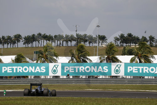 Motorsports: FIA Formula One World Championship 2016, Grand Prix of Malaysia