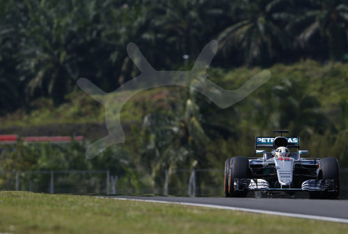 Motorsports: FIA Formula One World Championship 2016, Grand Prix of Malaysia