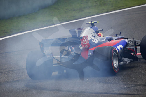 Motorsports: FIA Formula One World Championship 2017