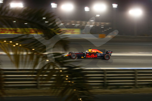 Motorsports: FIA Formula One World Championship 2017, Grand Prix of Bahrain