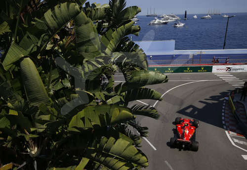 Motorsports: FIA Formula One World Championship 2017, Grand Prix of Monaco