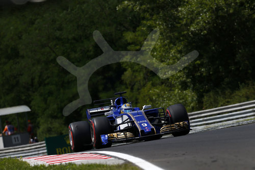 Motorsports: FIA Formula One World Championship 2017, Grand Prix of Hungary