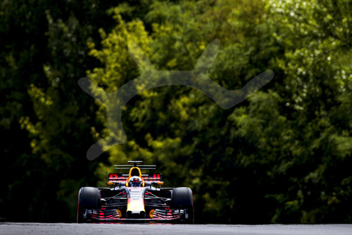 Motorsports: FIA Formula One World Championship 2017, Grand Prix of Hungary