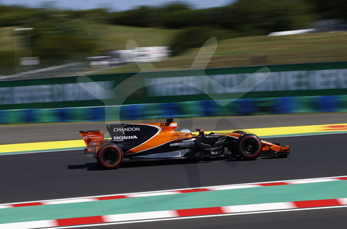 Motorsports: FIA Formula One World Championship 2017, Grand Prix of Hungary