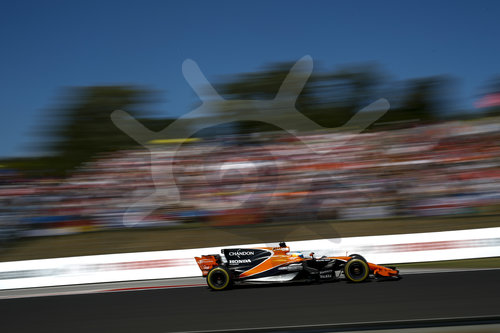Motorsports: FIA Formula One World Championship 2017, Grand Prix of Hungary