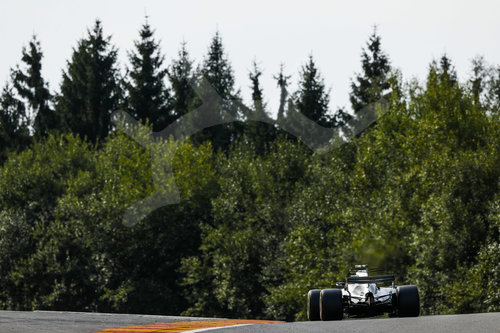 Motorsports: FIA Formula One World Championship 2017, Grand Prix of Belgium