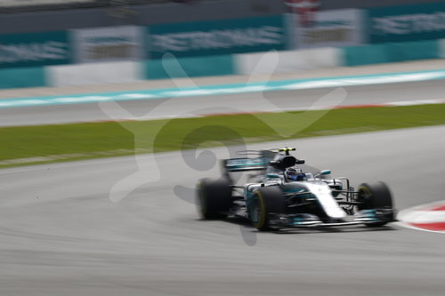 Motorsports: FIA Formula One World Championship 2017, Grand Prix of Malaysia