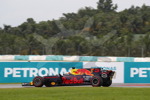 Motorsports: FIA Formula One World Championship 2017, Grand Prix of Malaysia