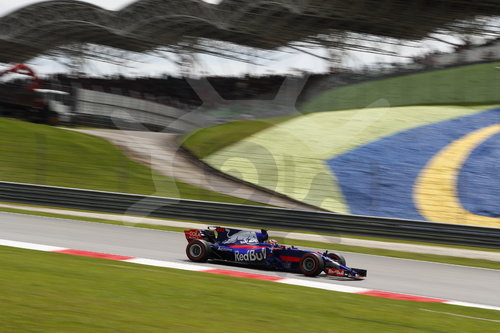 Motorsports: FIA Formula One World Championship 2017, Grand Prix of Malaysia