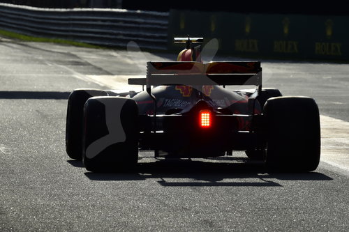 Motorsports: FIA Formula One World Championship 2017, Grand Prix of Malaysia
