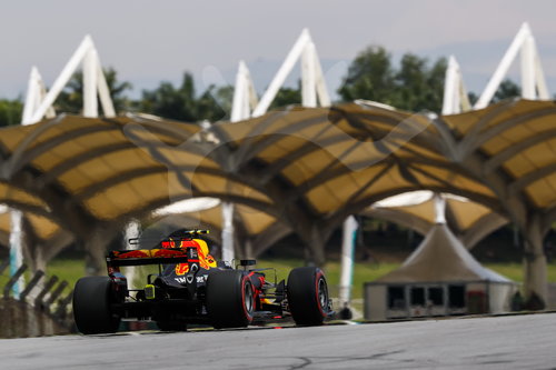 Motorsports: FIA Formula One World Championship 2017, Grand Prix of Malaysia