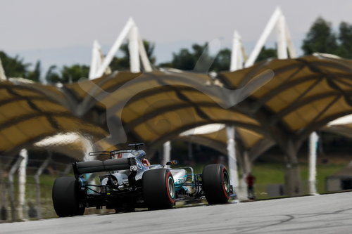 Motorsports: FIA Formula One World Championship 2017, Grand Prix of Malaysia