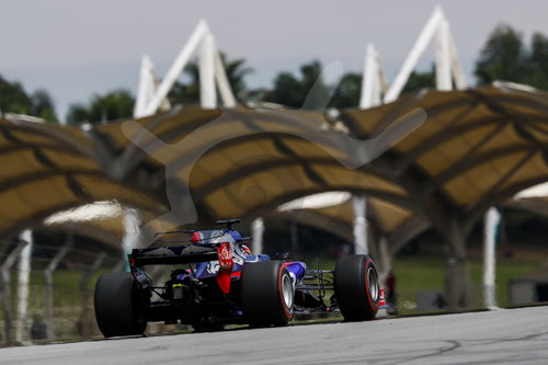 Motorsports: FIA Formula One World Championship 2017, Grand Prix of Malaysia