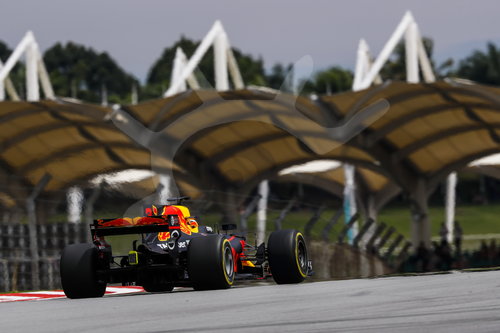 Motorsports: FIA Formula One World Championship 2017, Grand Prix of Malaysia
