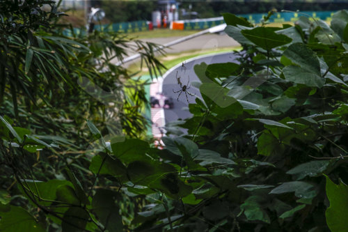 Motorsports: FIA Formula One World Championship 2017, Grand Prix of Japan