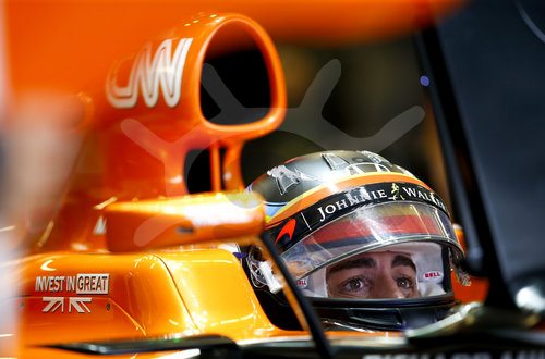 Motorsports: FIA Formula One World Championship 2017, Grand Prix of United States