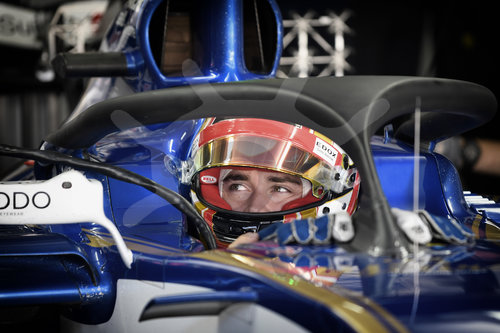 Motorsports: FIA Formula One World Championship 2017, Grand Prix of Brazil