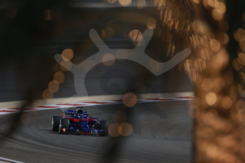 Motorsports: FIA Formula One World Championship 2018 Grand Prix of Bahrain
