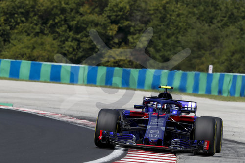Motorsports: FIA Formula One World Championship 2018, Grand Prix of Hungary