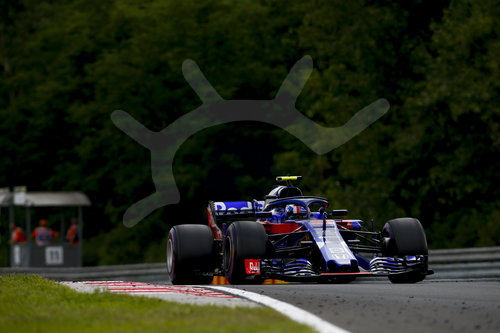 Motorsports: FIA Formula One World Championship 2018, Grand Prix of Hungary