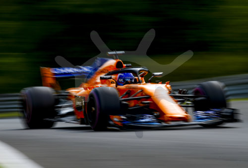 Motorsports: FIA Formula One World Championship 2018, Grand Prix of Hungary