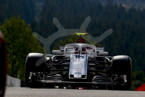 Motorsports: FIA Formula One World Championship 2018, Grand Prix of Belgium