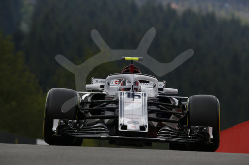 Motorsports: FIA Formula One World Championship 2018, Grand Prix of Belgium