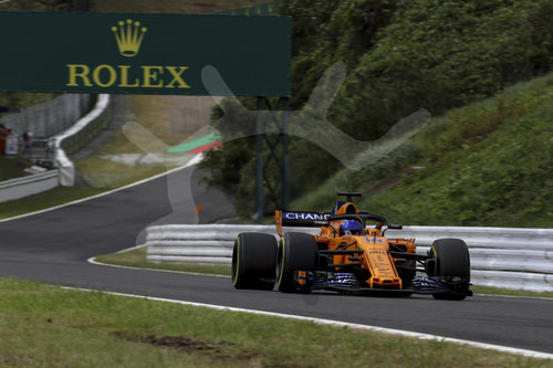 Motorsports: FIA Formula One World Championship 2018, Grand Prix of Japan