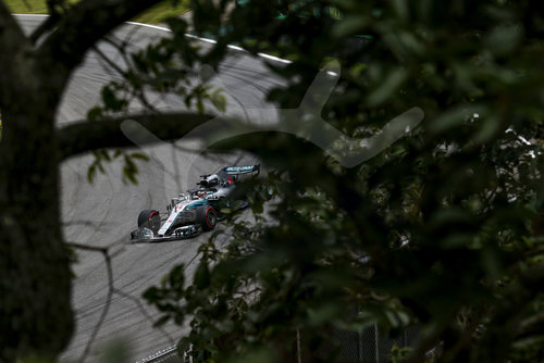 Motorsports: FIA Formula One World Championship 2018, Grand Prix of Brazil