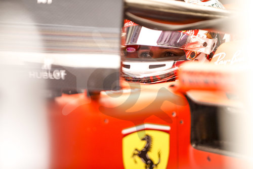 Motorsports: FIA Formula One World Championship 2019, Grand Prix of China