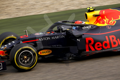 Motorsports: FIA Formula One World Championship 2019, Grand Prix of China