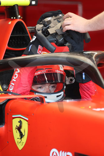 Motorsports: FIA Formula One World Championship 2019, Grand Prix of France
