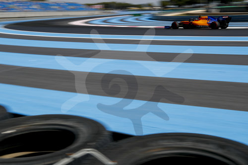 Motorsports: FIA Formula One World Championship 2019, Grand Prix of France
