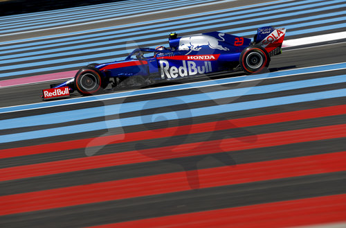 Motorsports: FIA Formula One World Championship 2019, Grand Prix of France