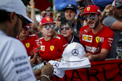 Motorsports: FIA Formula One World Championship 2019, Grand Prix of Austria