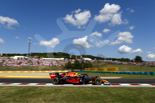 Motorsports: FIA Formula One World Championship 2019, Grand Prix of Hungary