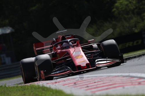Motorsports: FIA Formula One World Championship 2019, Grand Prix of Hungary