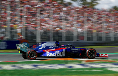 Motorsports: FIA Formula One World Championship 2019, Grand Prix of Italy